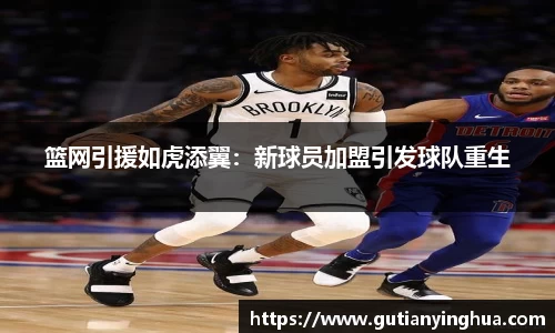 篮网引援如虎添翼：新球员加盟引发球队重生